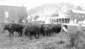 Preview of: 
album168.jpg 
640 x 374 JPEG-compressed image 
(46,559 bytes)