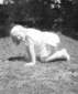 Preview of: 
album171.jpg 
541 x 640 JPEG-compressed image 
(64,221 bytes)