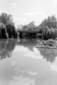 Preview of: 
album172.jpg 
431 x 640 JPEG-compressed image 
(34,278 bytes)