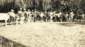 Preview of: 
album190.jpg 
640 x 361 JPEG-compressed image 
(78,474 bytes)