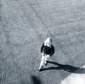 Preview of: 
album197.jpg 
640 x 635 JPEG-compressed image 
(124,816 bytes)