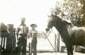 Preview of: 
album214.jpg 
640 x 420 JPEG-compressed image 
(62,188 bytes)