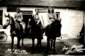 Preview of: 
album271.jpg 
640 x 423 JPEG-compressed image 
(83,537 bytes)