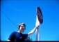 Preview of: 
album297.jpg 
640 x 452 JPEG-compressed image 
(49,583 bytes)