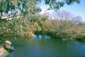Preview of: 
album314.jpg 
640 x 431 JPEG-compressed image 
(92,196 bytes)