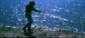 Preview of: 
album320.jpg 
640 x 291 JPEG-compressed image 
(69,231 bytes)