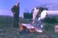 Preview of: 
album342.jpg 
640 x 425 JPEG-compressed image 
(64,575 bytes)