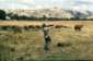 Preview of: 
album374.jpg 
640 x 423 JPEG-compressed image 
(76,542 bytes)