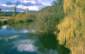 Preview of: 
album414.jpg 
640 x 407 JPEG-compressed image 
(71,957 bytes)