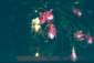 Preview of: 
album420.jpg 
640 x 435 JPEG-compressed image 
(63,509 bytes)