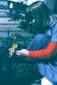 Preview of: 
album432.jpg 
434 x 640 JPEG-compressed image 
(71,805 bytes)