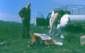 Preview of: 
album466.jpg 
640 x 406 JPEG-compressed image 
(57,425 bytes)