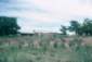 Preview of: 
album482.jpg 
640 x 433 JPEG-compressed image 
(58,666 bytes)