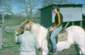 Preview of: 
album483.jpg 
640 x 418 JPEG-compressed image 
(69,014 bytes)