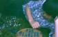 Preview of: 
album520.jpg 
640 x 419 JPEG-compressed image 
(67,057 bytes)