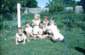 Preview of: 
album633.jpg 
640 x 419 JPEG-compressed image 
(95,767 bytes)