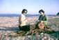 Preview of: 
album637.jpg 
640 x 439 JPEG-compressed image 
(70,844 bytes)