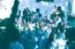 Preview of: 
album652.jpg 
640 x 422 JPEG-compressed image 
(74,404 bytes)