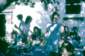 Preview of: 
album657.jpg 
640 x 428 JPEG-compressed image 
(69,404 bytes)
