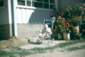 Preview of: 
album661.jpg 
640 x 436 JPEG-compressed image 
(76,495 bytes)