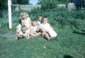 Preview of: 
album673.jpg 
640 x 442 JPEG-compressed image 
(99,384 bytes)
