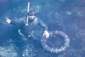 Preview of: 
album704.jpg 
640 x 430 JPEG-compressed image 
(77,674 bytes)
