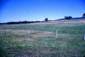 Preview of: 
album726.jpg 
640 x 435 JPEG-compressed image 
(126,104 bytes)