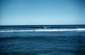 Preview of: 
album874.jpg 
640 x 416 JPEG-compressed image 
(81,855 bytes)
