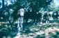 Preview of: 
album923.jpg 
640 x 421 JPEG-compressed image 
(92,622 bytes)
