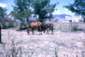 Preview of: 
album950.jpg 
640 x 431 JPEG-compressed image 
(108,477 bytes)