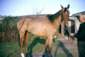 Preview of: 
album952.jpg 
640 x 432 JPEG-compressed image 
(66,132 bytes)
