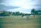 Preview of: 
album990.jpg 
640 x 432 JPEG-compressed image 
(92,918 bytes)