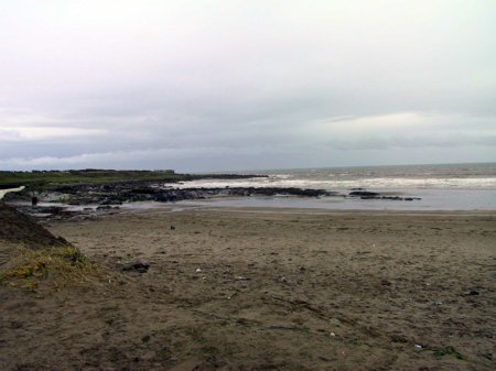 website15.jpg 
450 x 337 JPEG-compressed image 
(27,917 bytes)