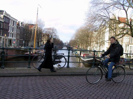 website58.jpg 
450 x 337 JPEG-compressed image 
(45,741 bytes)
