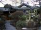 Preview of: 
website08.jpg 
450 x 337 JPEG-compressed image 
(48,523 bytes)