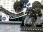 Preview of: 
website09.jpg 
450 x 337 JPEG-compressed image 
(51,306 bytes)