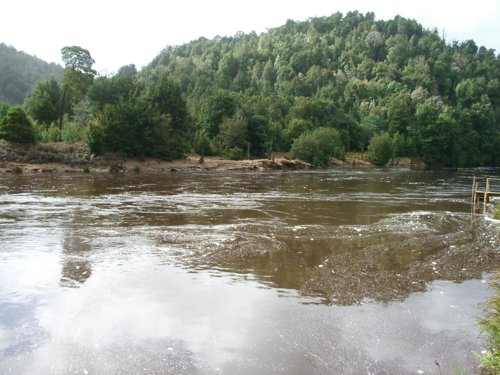 tas111.jpg 
500 x 375 JPEG-compressed image 
(48,472 bytes)