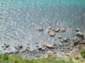 Preview of: 
tas009.jpg 
500 x 375 JPEG-compressed image 
(74,636 bytes)