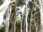 Preview of: 
tas013.jpg 
500 x 375 JPEG-compressed image 
(114,625 bytes)