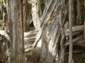 Preview of: 
tas016.jpg 
500 x 375 JPEG-compressed image 
(65,877 bytes)