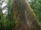 Preview of: 
tas058.jpg 
500 x 375 JPEG-compressed image 
(62,412 bytes)