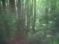 Preview of: 
tas102.jpg 
500 x 375 JPEG-compressed image 
(37,918 bytes)
