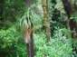 Preview of: 
tas113.jpg 
500 x 375 JPEG-compressed image 
(80,244 bytes)