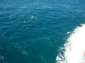 Preview of: 
tas124.jpg 
500 x 375 JPEG-compressed image 
(38,091 bytes)